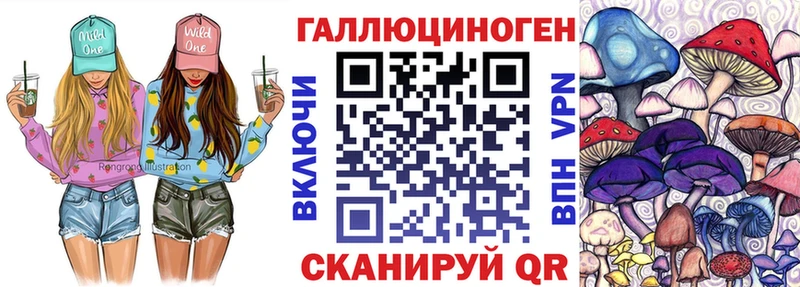 закладка  Северск  Галлюциногенные грибы мицелий 
